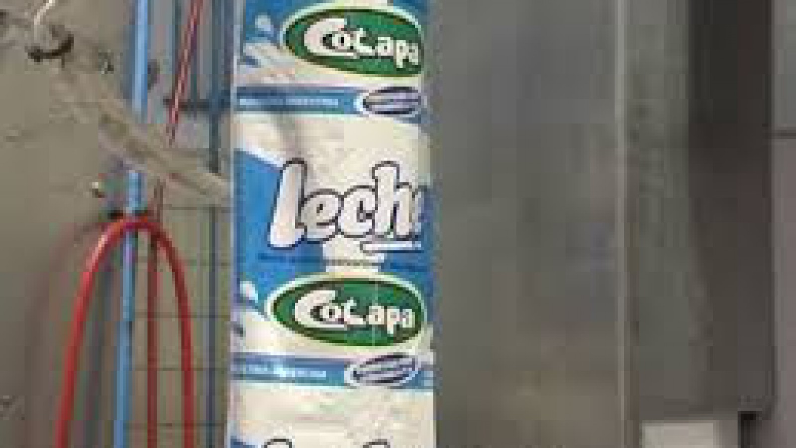 Entre Ríos exportará leche a China porque el agua del país asiático está contaminada